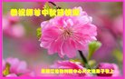ֹ,󷨵ӹףʦ(19)