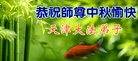 ֹ,󷨵ӹףʦ(22)