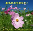 ֹ,󷨵ӹףʦ(19)