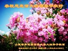 ֹ,ൺ󷨵ӹףʦ(23)