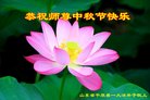 ֹ,д󷨵ӹףʦ(31)