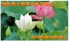 ֹ,Ϫ󷨵ӹףʦ(19)