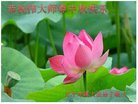 ֹ,Ϫ󷨵ӹףʦ(19)