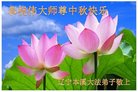 ֹ,Ϫ󷨵ӹףʦ(19)