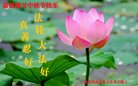 ֹ,ӱ󷨵ӹףʦ(24)