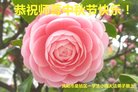 ֹ,󷨵ӹףʦ(21)