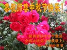 ֹ,󷨵ӹףʦ(19)