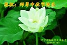 ֹ,󷨵ӹףʦ(20)