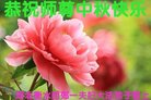 ֹ,ӱ󷨵ӹףʦ(24)