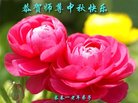 ֹ,󷨵ӹףʦ(20)
