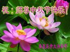 ֹ,ػʵ󷨵ӹףʦ(21)