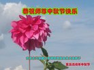 ֹ,ɹŴ󷨵ӹףʦ(21)