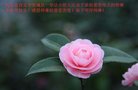 ֹ,󷨵ӹףʦ(23)