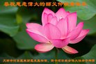 ֹ,󷨵ӹףʦ(21)