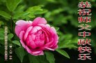 ֹ,󷨵ӹףʦ(20)