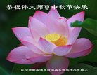 ֹ,󷨵ӹףʦ(21)