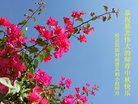 ֹ,󷨵ӹףʦ(20)