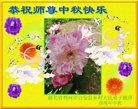 ֹ,󷨵ӹףʦ(19)