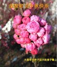 ֹ,󷨵ӹףʦ(28)
