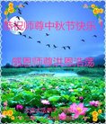 ֹ,󷨵ӹףʦ(22)