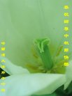 ֹ,󷨵ӹףʦ(21)