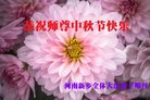 ֹ,ϴ󷨵ӹףʦ(22)