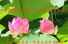 ֹ,󷨵ӹףʦ(22)
