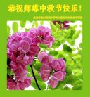 ֹ,󷨵ӹףʦ(23)