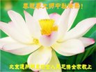 ֹ,󷨵ӹףʦ(25)