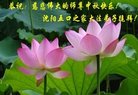 ֹ,󷨵ӹףʦ(31)