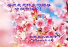 ֹ,ӱ󷨵ӹףʦ(29)
