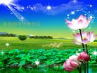 ֹ,󷨵ӹףʦ(20)