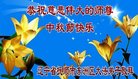 ֹ,󷨵ӹףʦ(23)