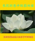ֹ,󷨵ӹףʦ(21)