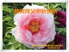 ֹ,󷨵ӹףʦ(24)