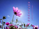 ֹ,ӱ󷨵ӹףʦ(19)