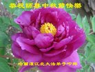 ֹ,󷨵ӹףʦ(21)