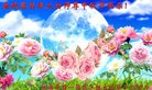 ֹ,ϴ󷨵ӹףʦ(25)