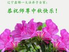 ֹ,̽󷨵ӹףʦ(19)