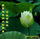 ֹ,ϴ󷨵ӹףʦ(21)