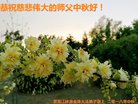 ֹ,󷨵ӹףʦ(20)