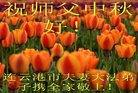 ֹ,մ󷨵ӹףʦ(27)