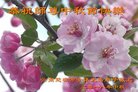 ֹ,ϴ󷨵ӹףʦ(23)