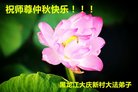 ֹ,󷨵ӹףʦ(24)