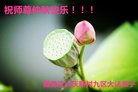 ֹ,󷨵ӹףʦ(24)