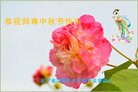 ֹ,󷨵ӹףʦ(28)