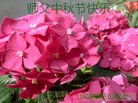 ֹ,󷨵ӹףʦ(31)