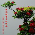ֹ,󷨵ӹףʦ(28)