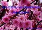 ֹ,ʯׯ󷨵ӹףʦ(21)