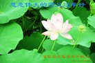 ֹ,ʯׯ󷨵ӹףʦ(21)